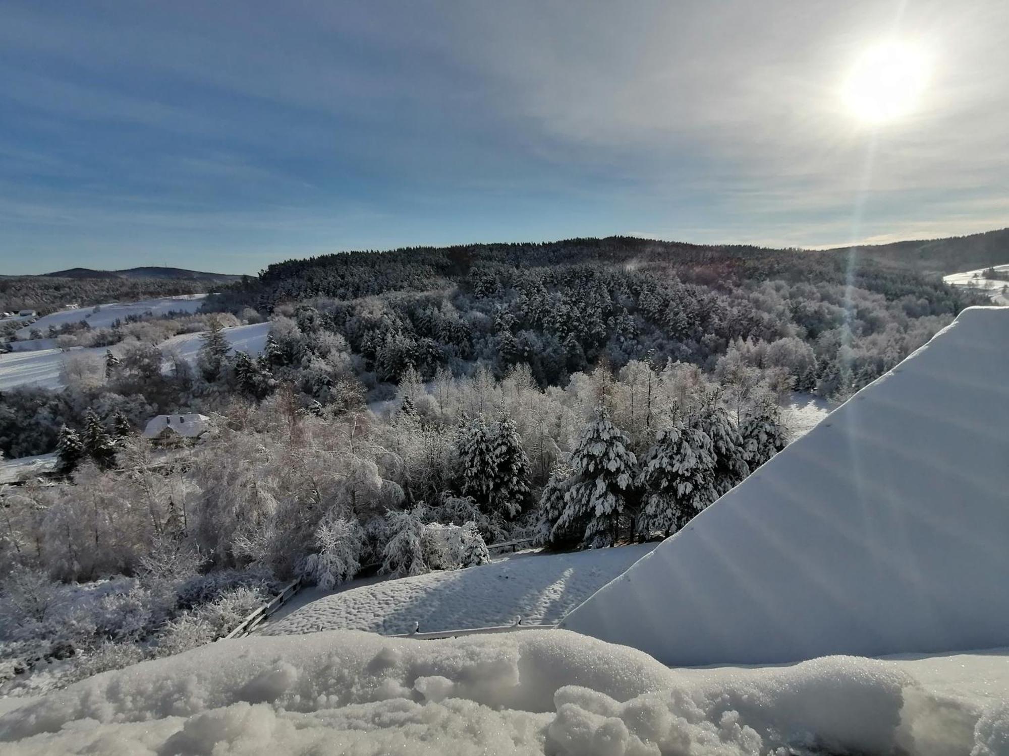 Chata W Bieszczadzie Apartamenty I Domki Z Sauna Bieszczady Polańczyk Exteriör bild