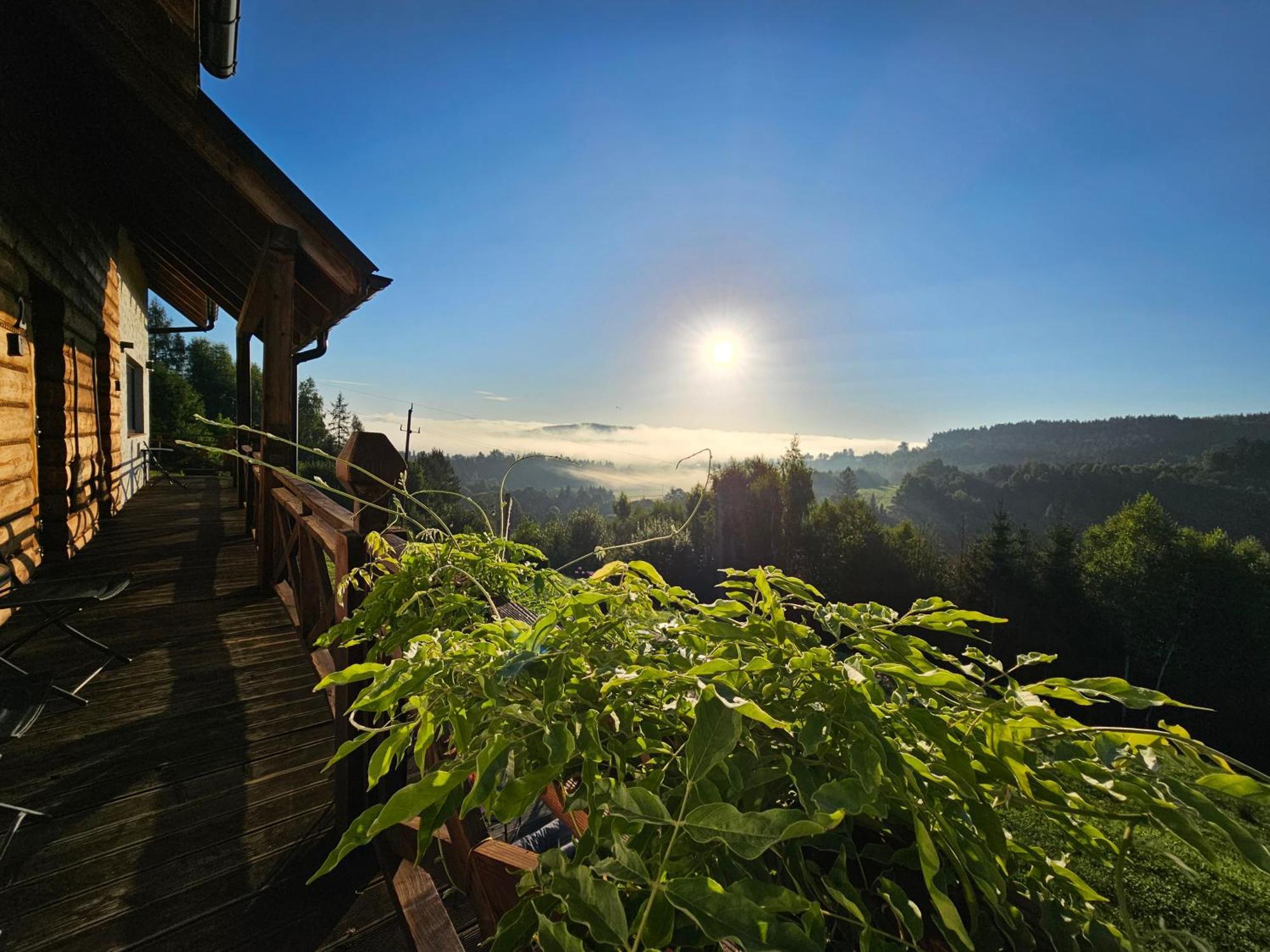 Chata W Bieszczadzie Apartamenty I Domki Z Sauna Bieszczady Polańczyk Exteriör bild