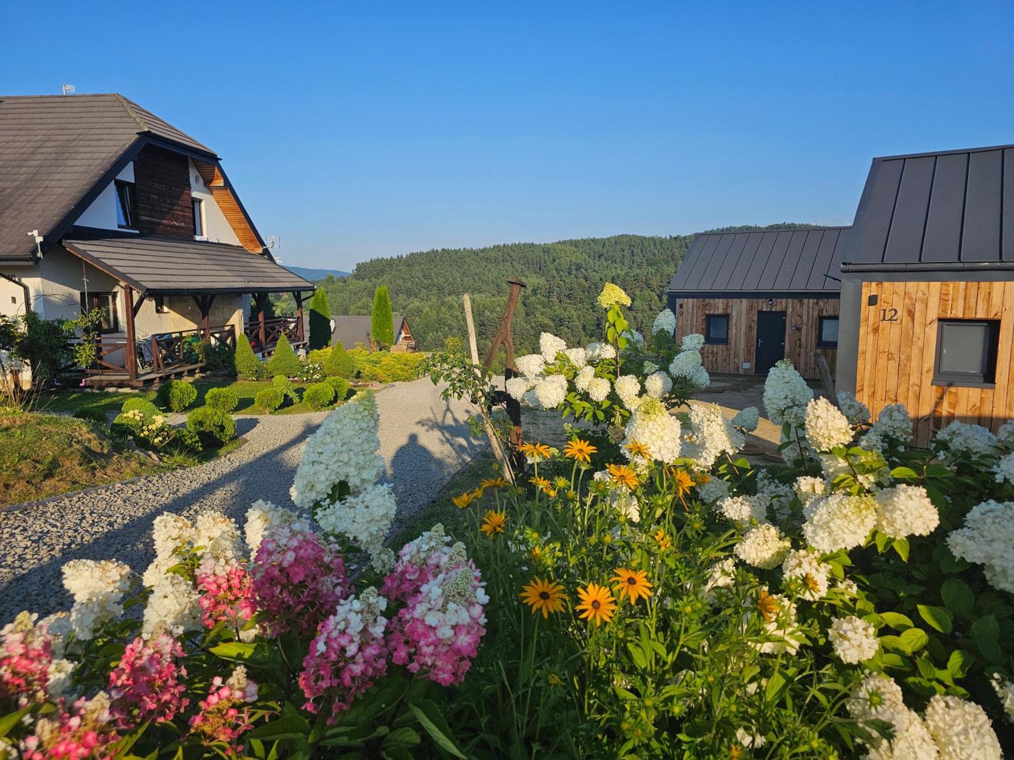 Chata W Bieszczadzie Apartamenty I Domki Z Sauna Bieszczady Polańczyk Exteriör bild