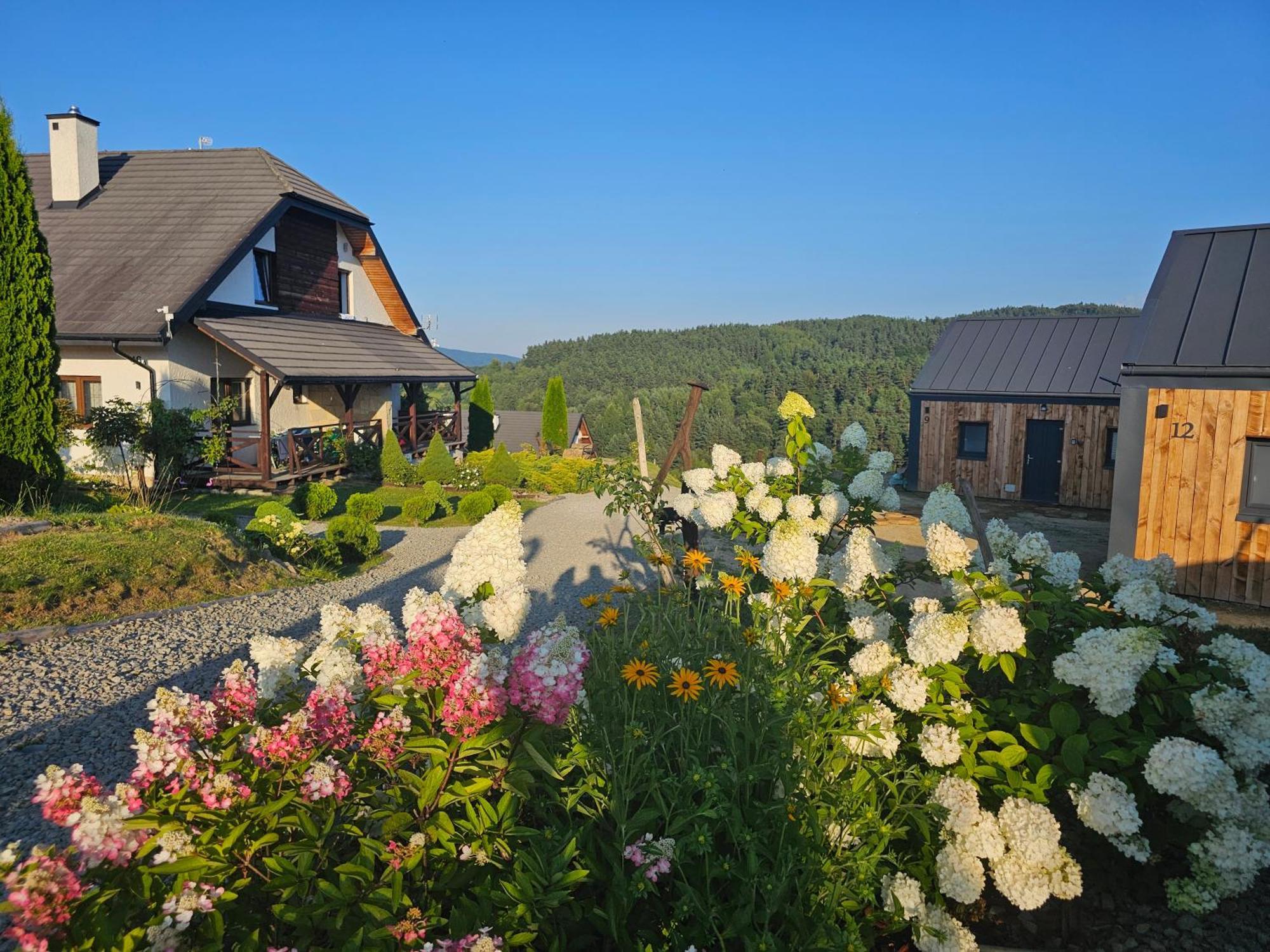 Chata W Bieszczadzie Apartamenty I Domki Z Sauna Bieszczady Polańczyk Exteriör bild